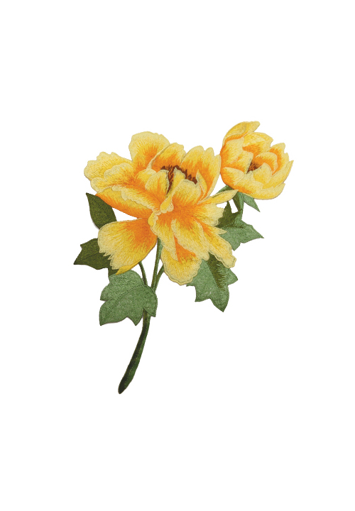 Sassy_Yellow_Saffron